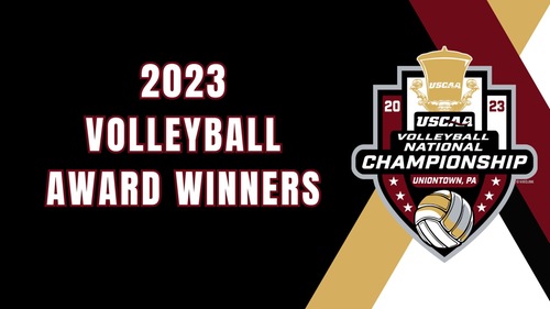 Bay Path University "Wildcats" Receive Honors