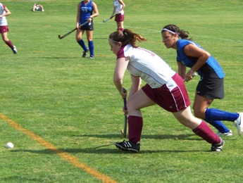 Hawks Tame Wildcats