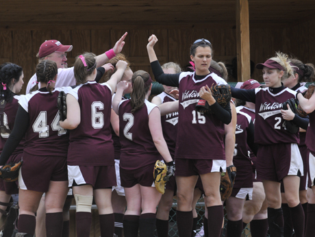 Wildcats Softball Tabbed as NFCA All-Academic Team