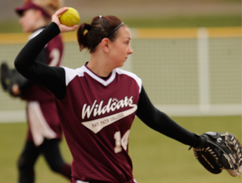 Wildcat's take two from Newbury