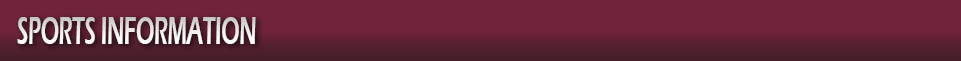  Sports Information Icon 