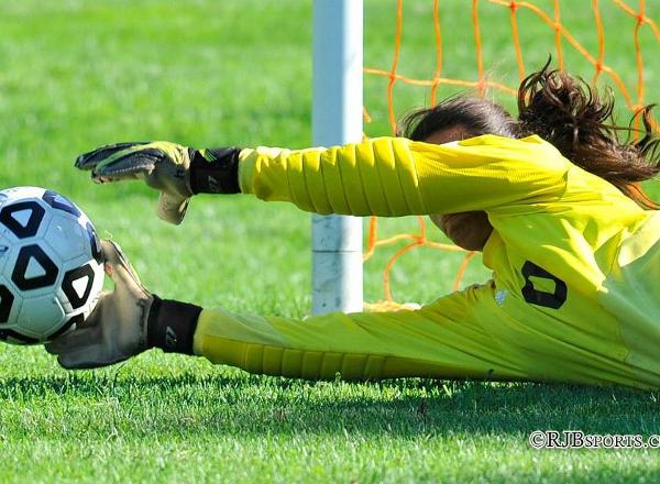 Wildcats Fall 2-0 to Local NECC Rival Elms