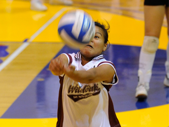 Davi Chuong Named NECC Women's Volleyball Defensive Specialist of the Year