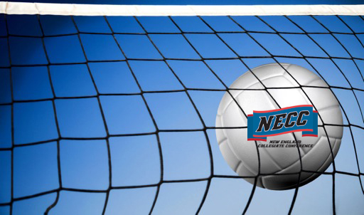 Women's Volleyball Awarded Sportsmanship Award; Harkless Named All-Conference