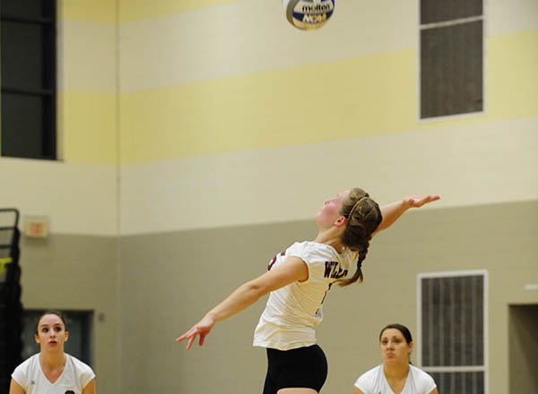Bayreuther Led the Wildcats to a 3-1 Victory over the BlueJays
