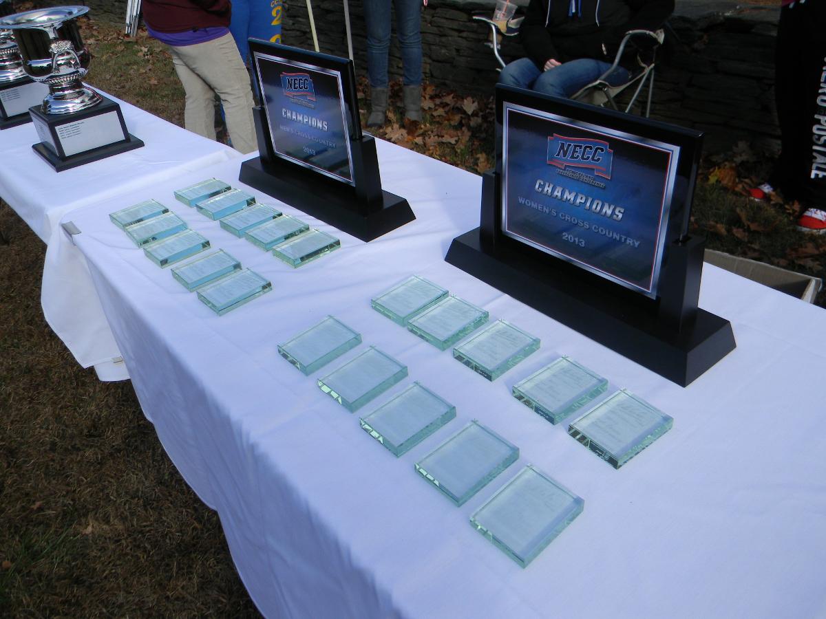 Lesley Takes Sixth Straight NECC Women's Cross Country Championship, Wildcats Place Sixth