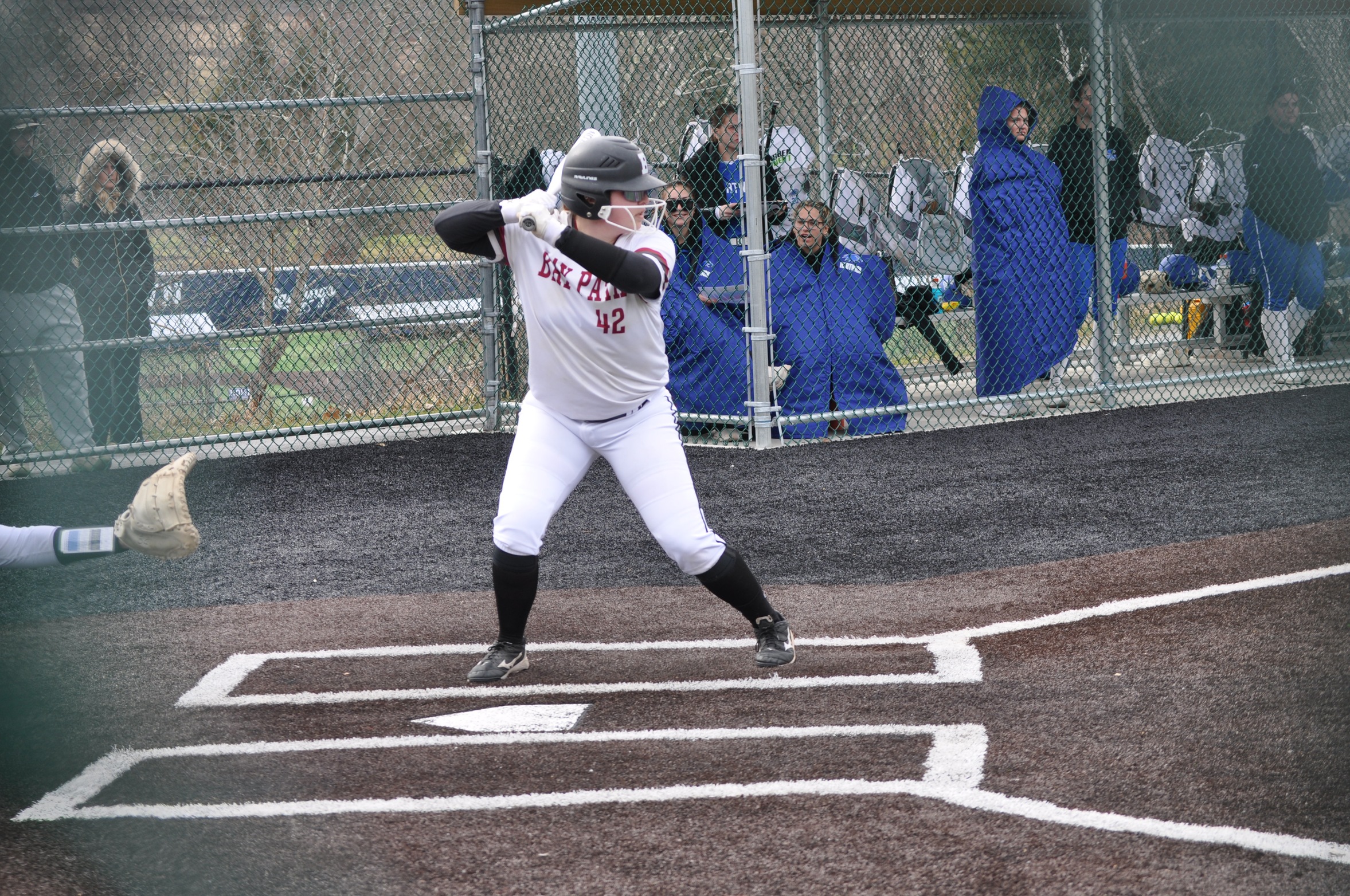 Blue Jays Fly By Wildcats 11-3