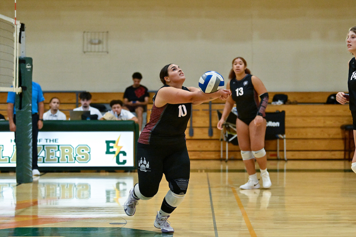 Westfield Sweep Bay Path 3-0 in Volleyball Action