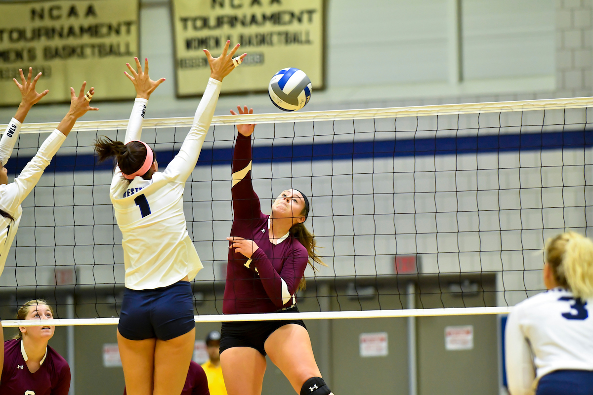 Wildcats Land Falcons 3-1 in Women&rsquo;s Volleyball Action