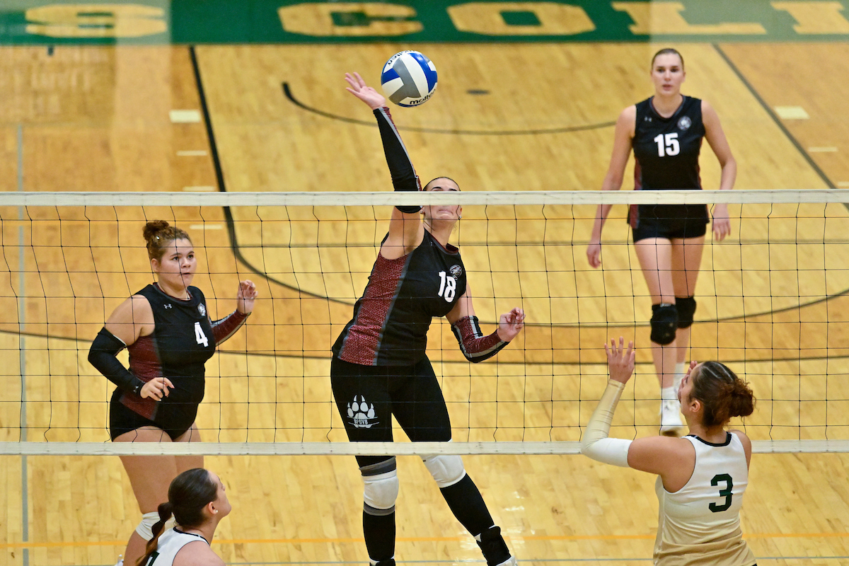 "Wildcats" Take Down "Blue Jays" 3-0 In Volleyball Action
