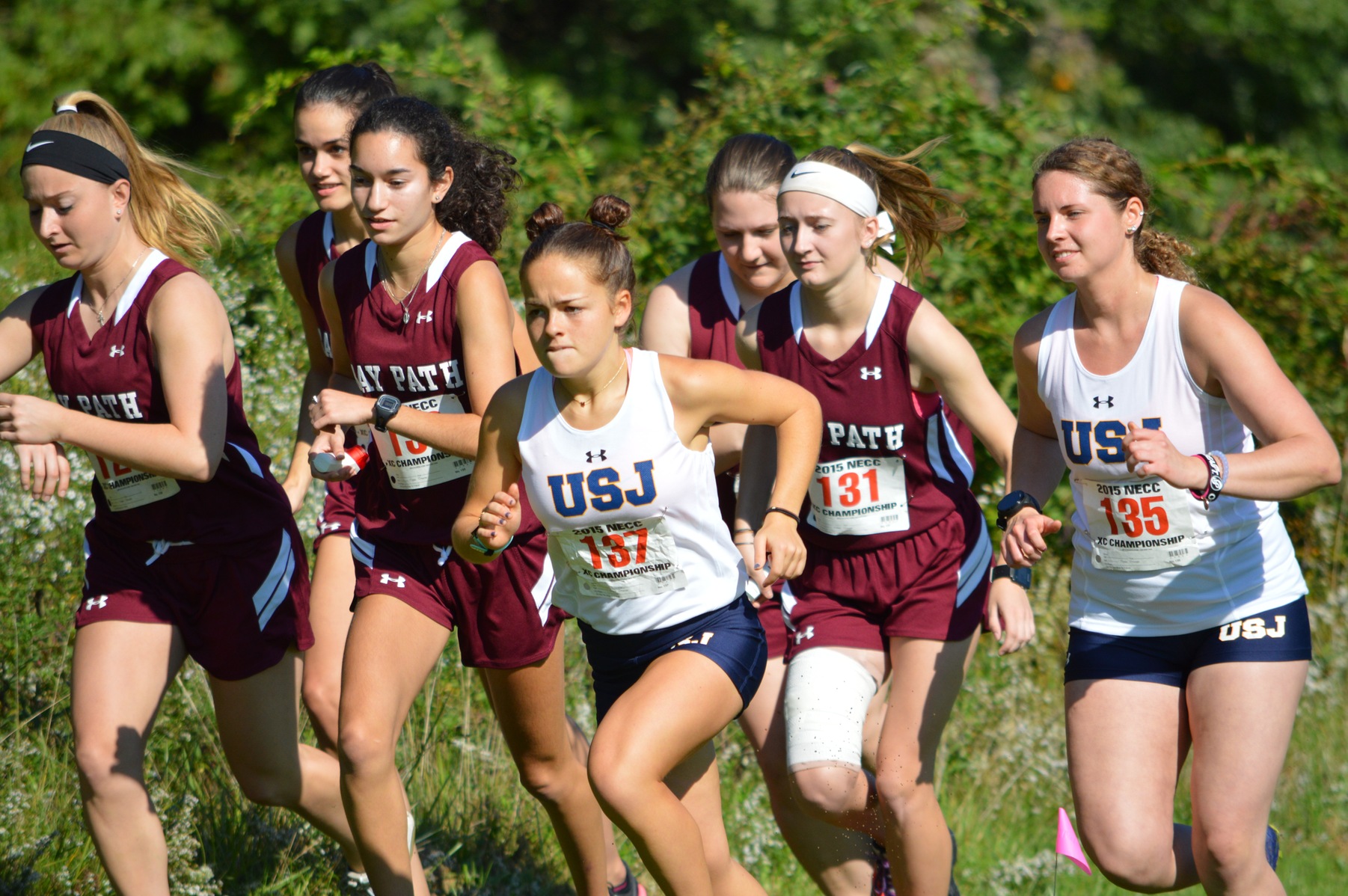 Bay Path runs to Victory at the Blue Jay Invitational